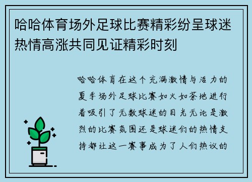 哈哈体育场外足球比赛精彩纷呈球迷热情高涨共同见证精彩时刻