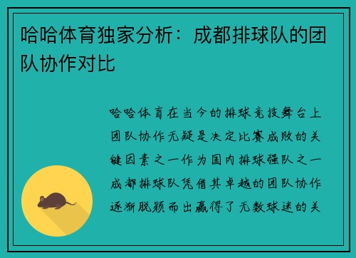 哈哈体育独家分析：成都排球队的团队协作对比