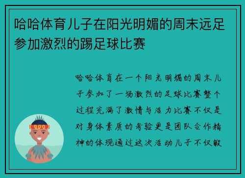 哈哈体育儿子在阳光明媚的周末远足参加激烈的踢足球比赛