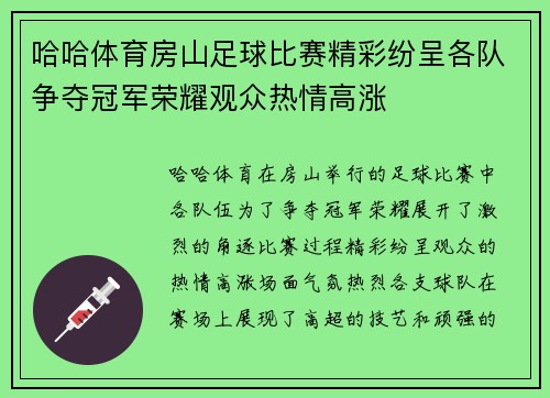 哈哈体育房山足球比赛精彩纷呈各队争夺冠军荣耀观众热情高涨