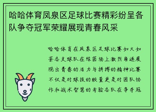 哈哈体育凤泉区足球比赛精彩纷呈各队争夺冠军荣耀展现青春风采