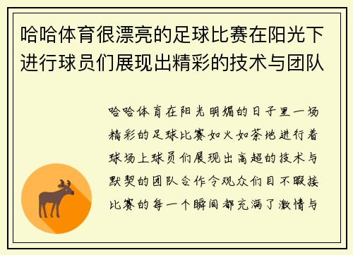 哈哈体育很漂亮的足球比赛在阳光下进行球员们展现出精彩的技术与团队合作