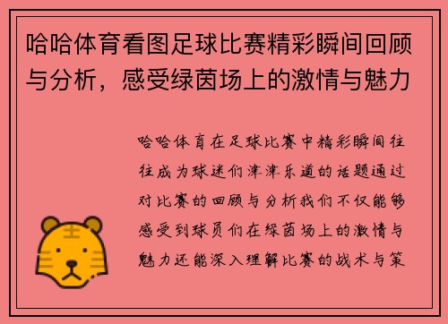 哈哈体育看图足球比赛精彩瞬间回顾与分析，感受绿茵场上的激情与魅力