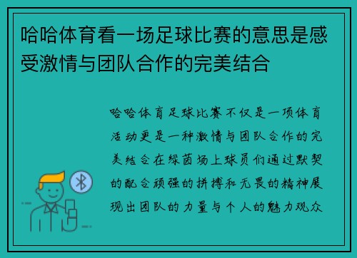 哈哈体育看一场足球比赛的意思是感受激情与团队合作的完美结合