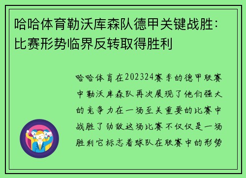 哈哈体育勒沃库森队德甲关键战胜：比赛形势临界反转取得胜利