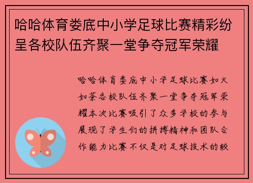 哈哈体育娄底中小学足球比赛精彩纷呈各校队伍齐聚一堂争夺冠军荣耀