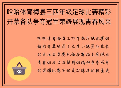 哈哈体育梅县三四年级足球比赛精彩开幕各队争夺冠军荣耀展现青春风采