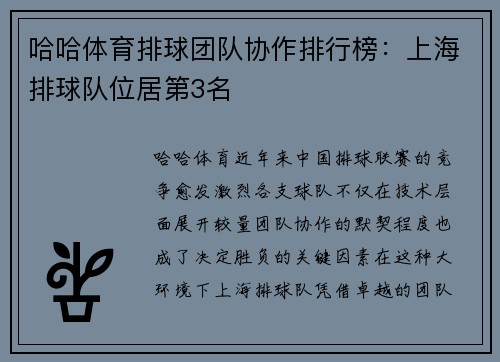 哈哈体育排球团队协作排行榜：上海排球队位居第3名