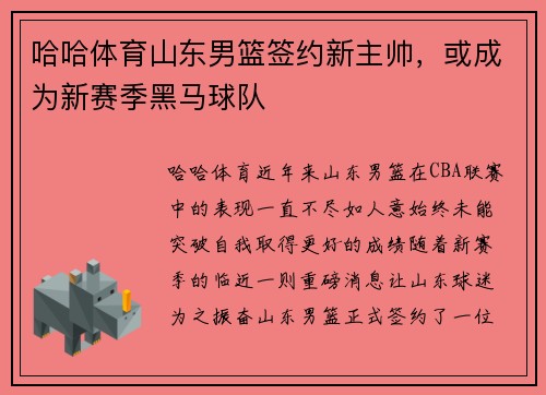 哈哈体育山东男篮签约新主帅，或成为新赛季黑马球队