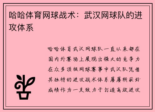 哈哈体育网球战术：武汉网球队的进攻体系