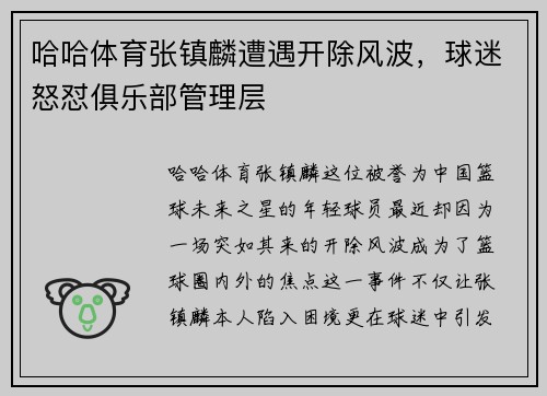 哈哈体育张镇麟遭遇开除风波，球迷怒怼俱乐部管理层