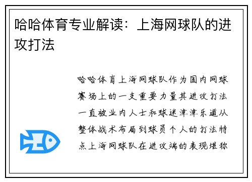 哈哈体育专业解读：上海网球队的进攻打法