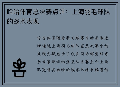 哈哈体育总决赛点评：上海羽毛球队的战术表现