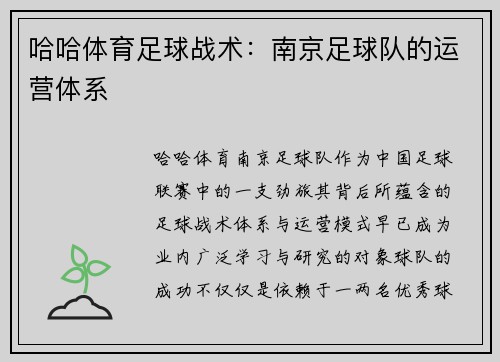哈哈体育足球战术：南京足球队的运营体系