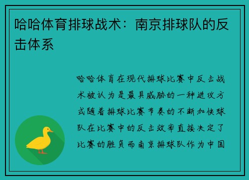 哈哈体育排球战术：南京排球队的反击体系