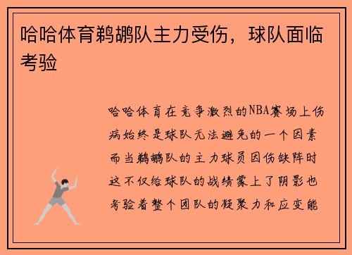 哈哈体育鹈鹕队主力受伤，球队面临考验